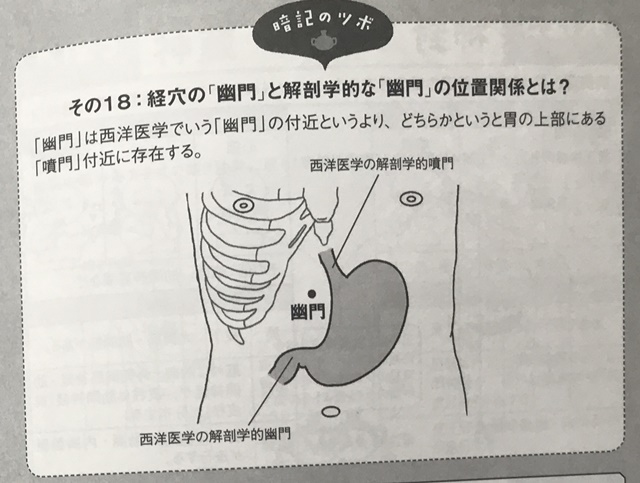 f:id:mikkun_0819:20191019153451j:plain f:id:mikkun_0819:20191019153451j:plain