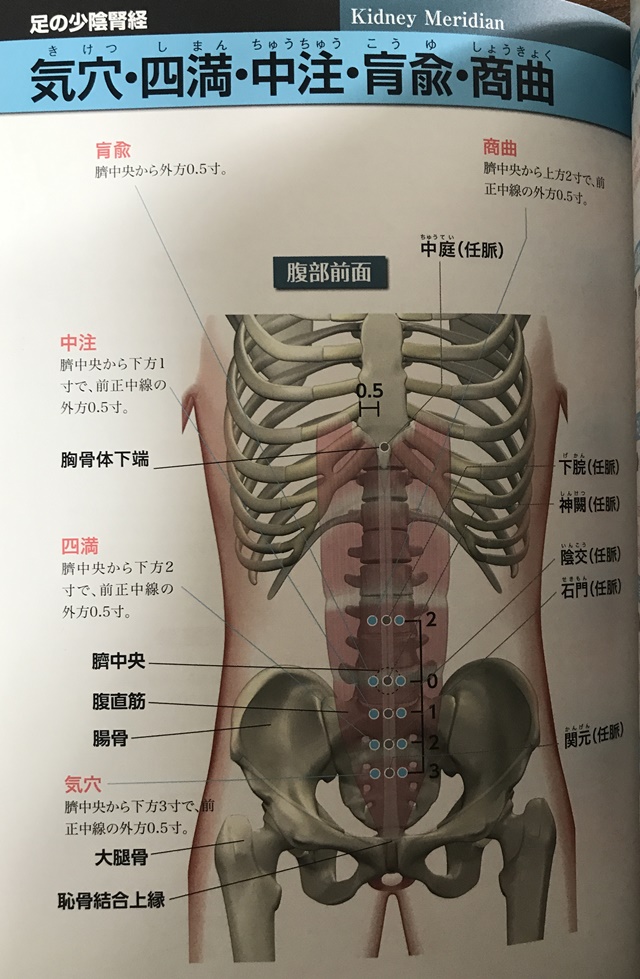 f:id:mikkun_0819:20191019153731j:plain f:id:mikkun_0819:20191019153731j:plain