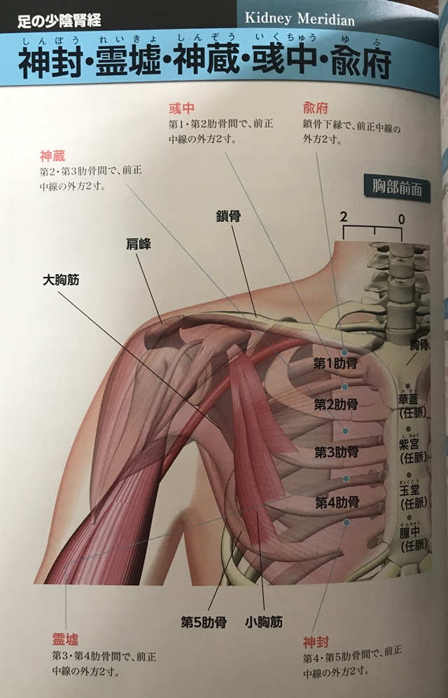 f:id:mikkun_0819:20191019153753j:plain f:id:mikkun_0819:20191019153753j:plain