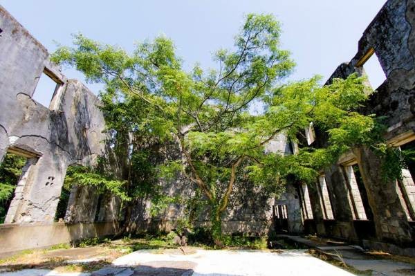 f:id:mikkytan:20190127193651j:image