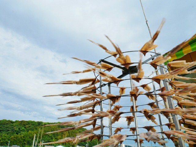 f:id:mikkytan:20190813151920j:plain f:id:mikkytan:20190813151920j:plain