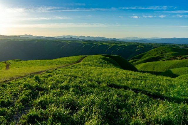 f:id:mikkytan:20200628134713j:plain f:id:mikkytan:20200628134713j:plain