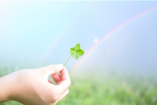 f:id:miko-s:20191113180617j:image f:id:miko-s:20191113180617j:image