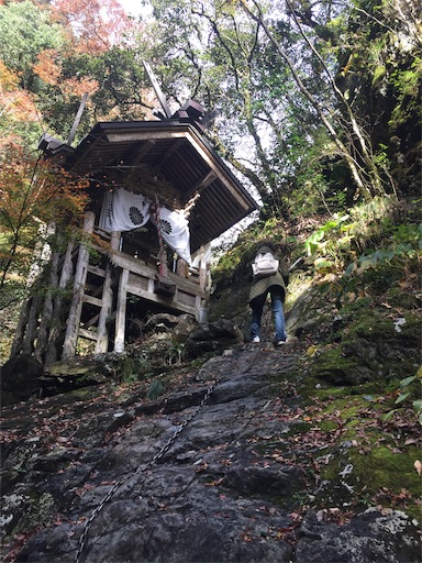 f:id:miko-s:20191115084338j:image f:id:miko-s:20191115084338j:image