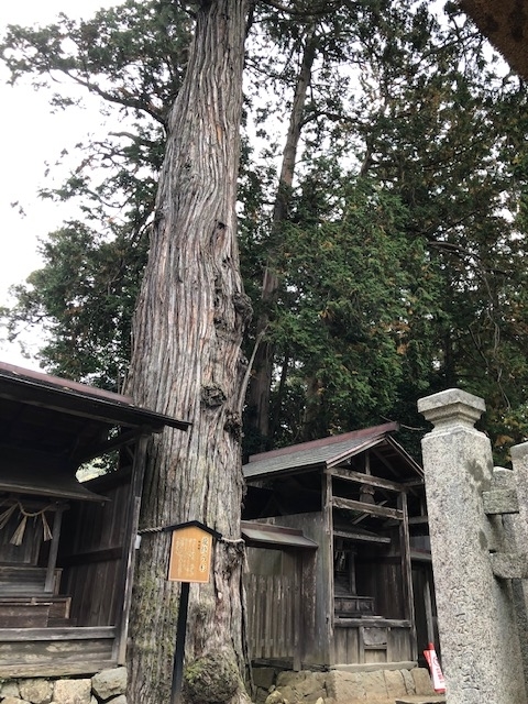 f:id:miko-s:20191115200627j:plain f:id:miko-s:20191115200627j:plain