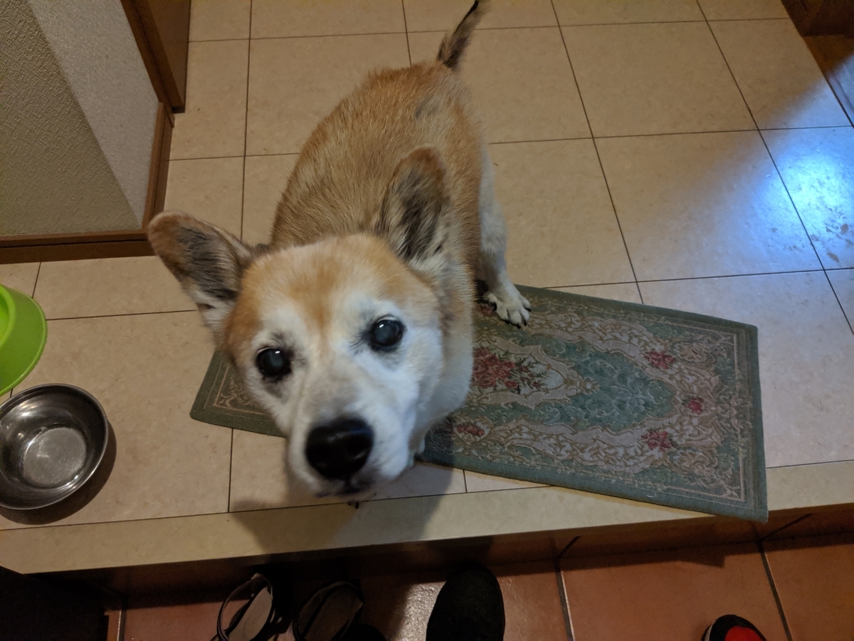 f:id:miko1221:20190922041837j:plain