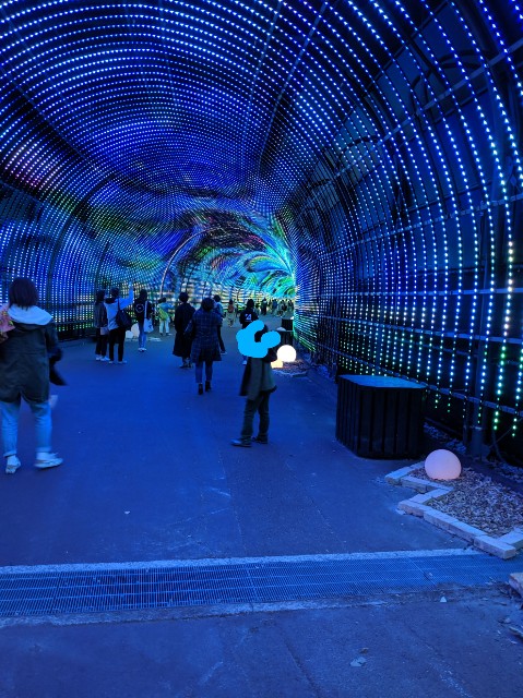 f:id:miko1221:20191112085611j:image