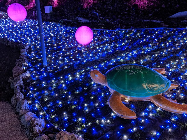 f:id:miko1221:20191112085737j:image