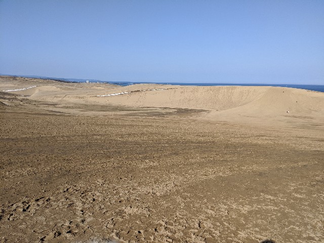 f:id:miko1221:20200221171603j:image f:id:miko1221:20200221171603j:image