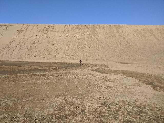 f:id:miko1221:20200221171905j:image f:id:miko1221:20200221171905j:image