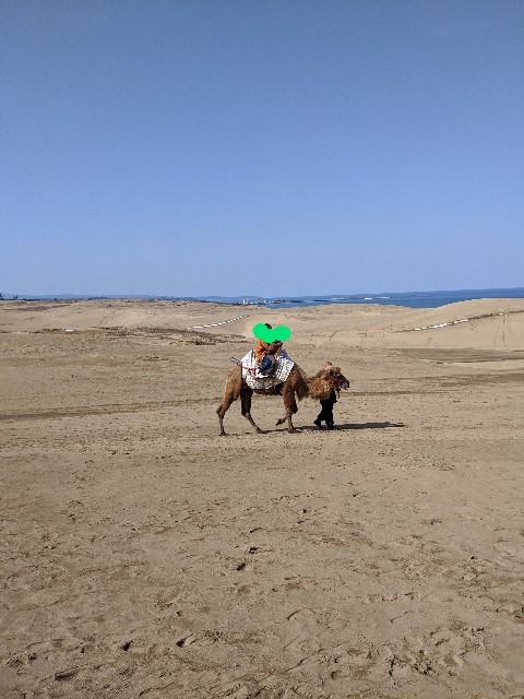 f:id:miko1221:20200221173650j:image f:id:miko1221:20200221173650j:image