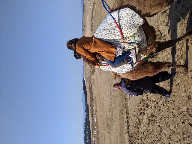 f:id:miko1221:20200221173742j:image f:id:miko1221:20200221173742j:image