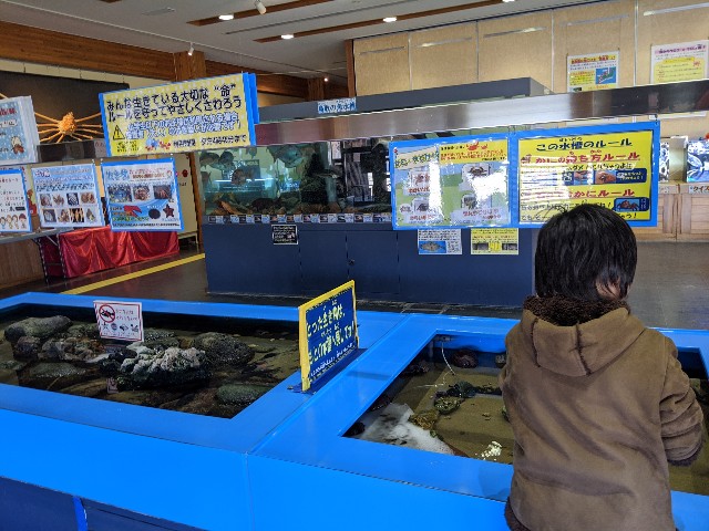 f:id:miko1221:20200223162507j:image f:id:miko1221:20200223162507j:image