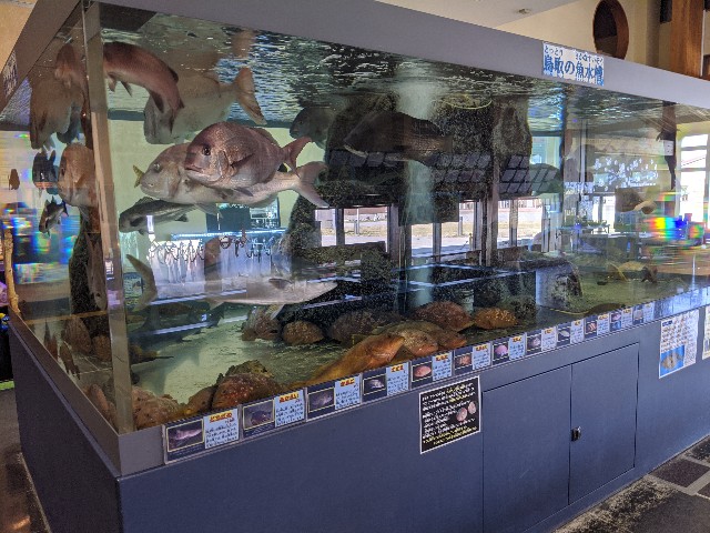 f:id:miko1221:20200223162625j:image f:id:miko1221:20200223162625j:image