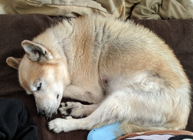 f:id:miko1221:20200603233156j:image