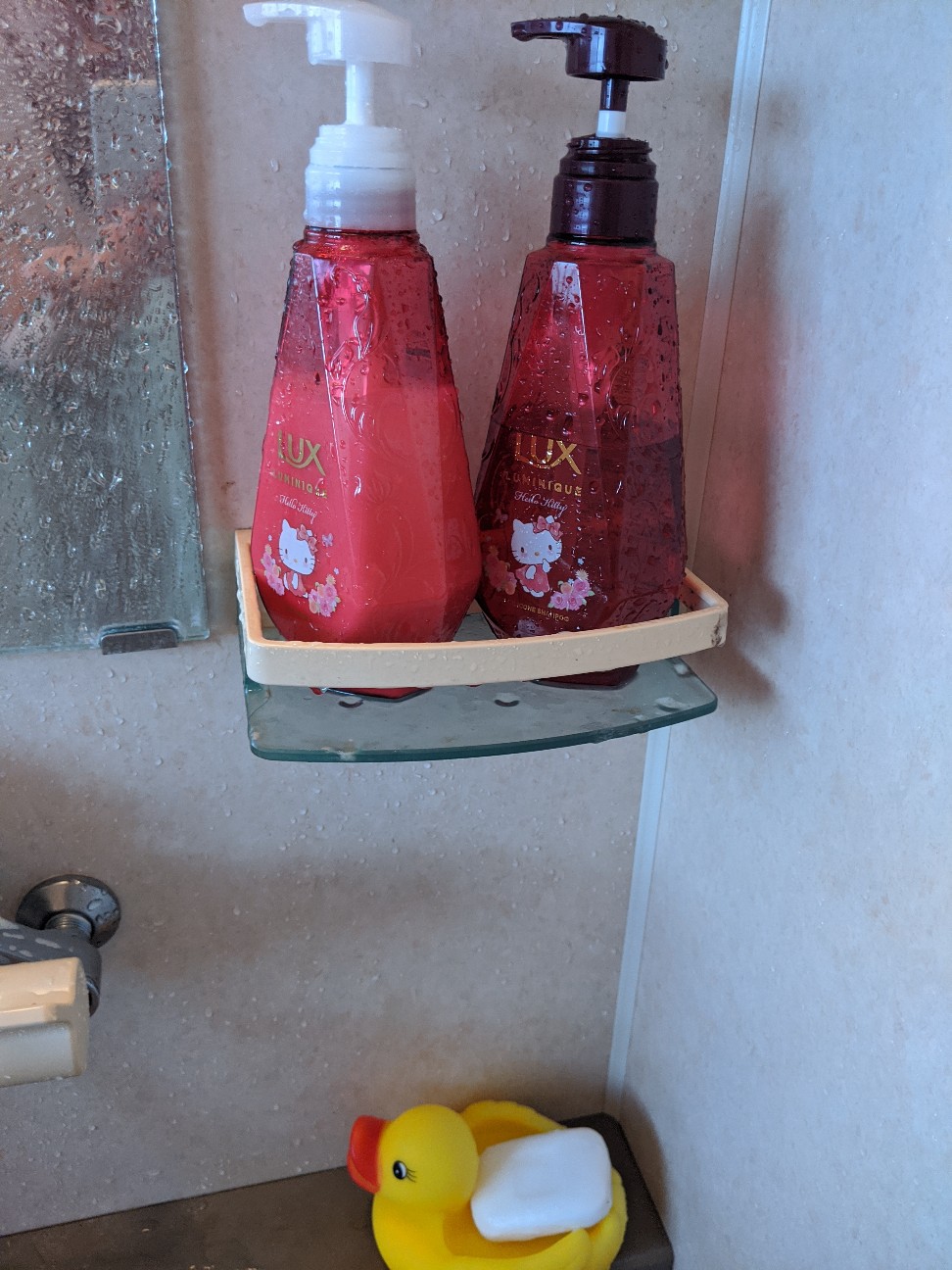 f:id:miko1221:20200712212843j:image f:id:miko1221:20200712212843j:image