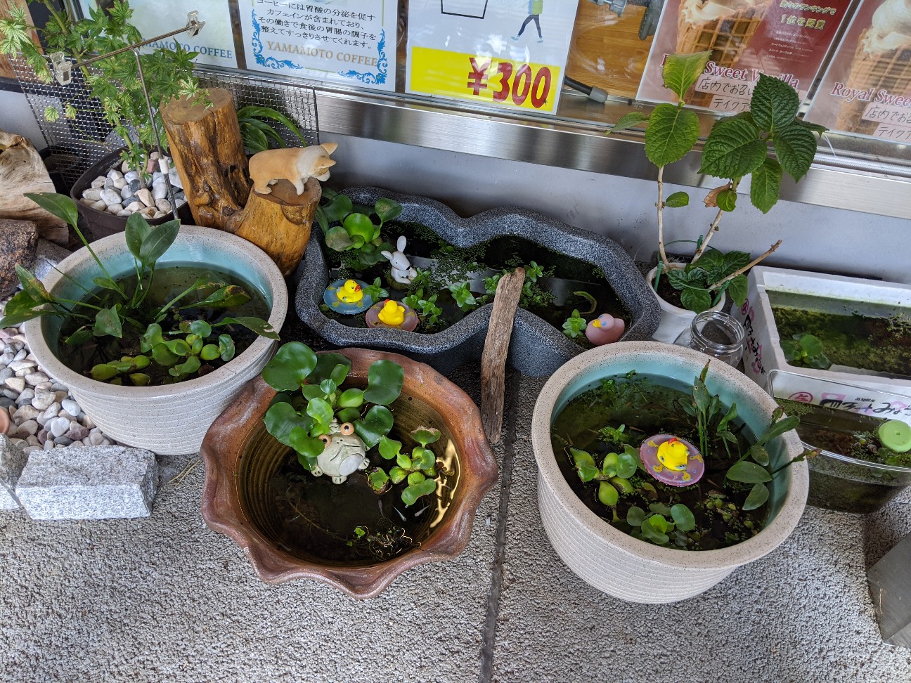 f:id:miko1221:20200815152143j:image