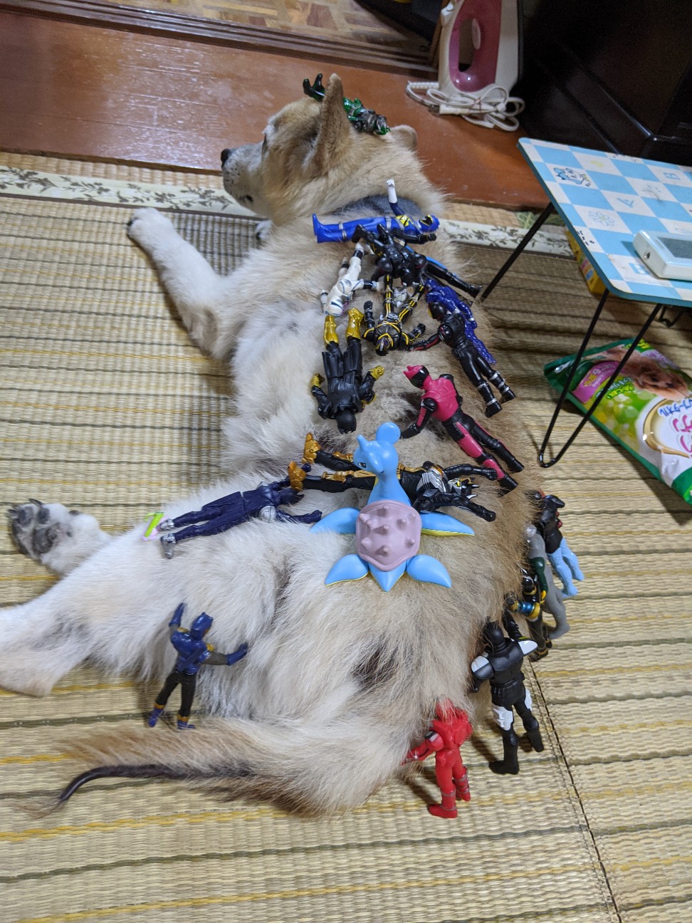 f:id:miko1221:20200821203147j:image f:id:miko1221:20200821203147j:image