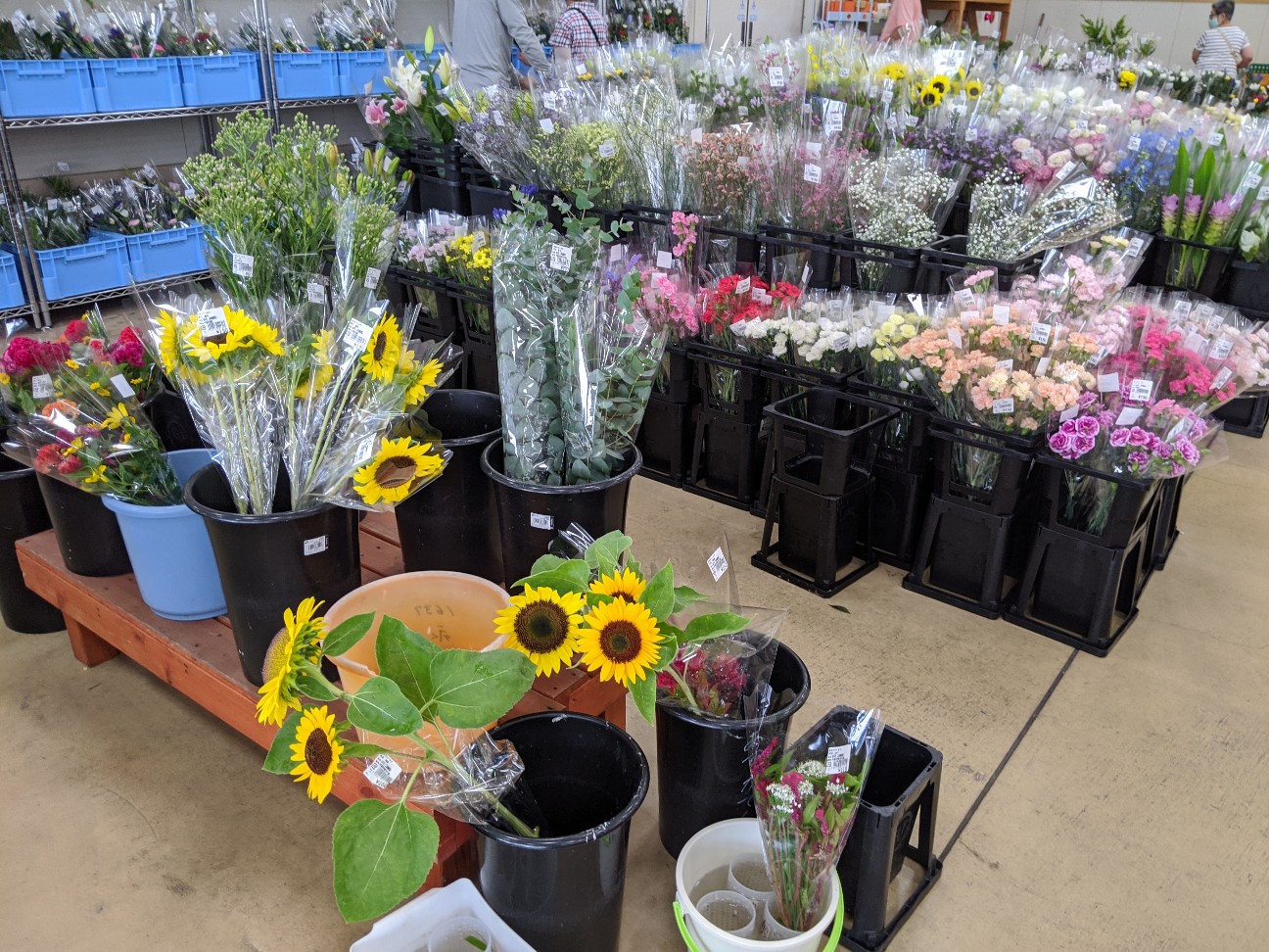 f:id:miko1221:20200912120352j:image