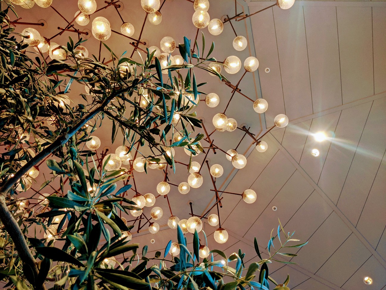 f:id:miko1221:20200922212552j:image