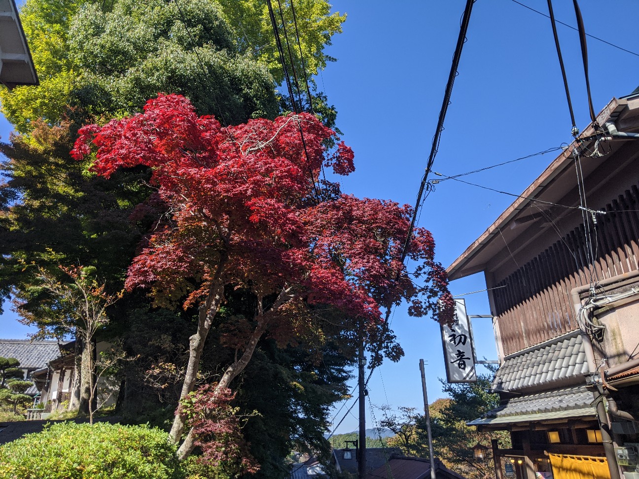 f:id:miko1221:20201102152833j:image