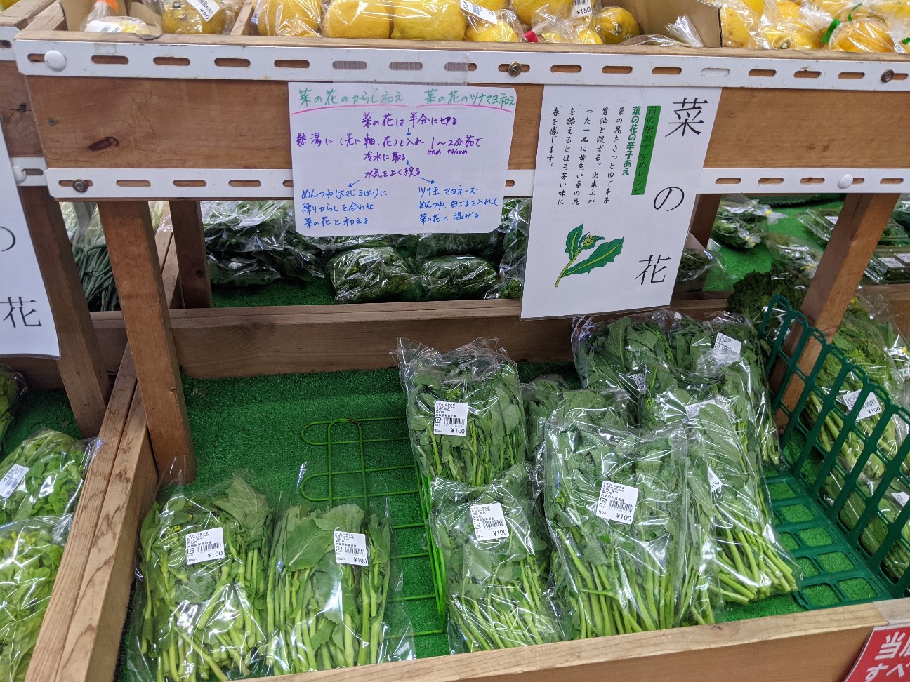 f:id:miko1221:20210228162033j:image