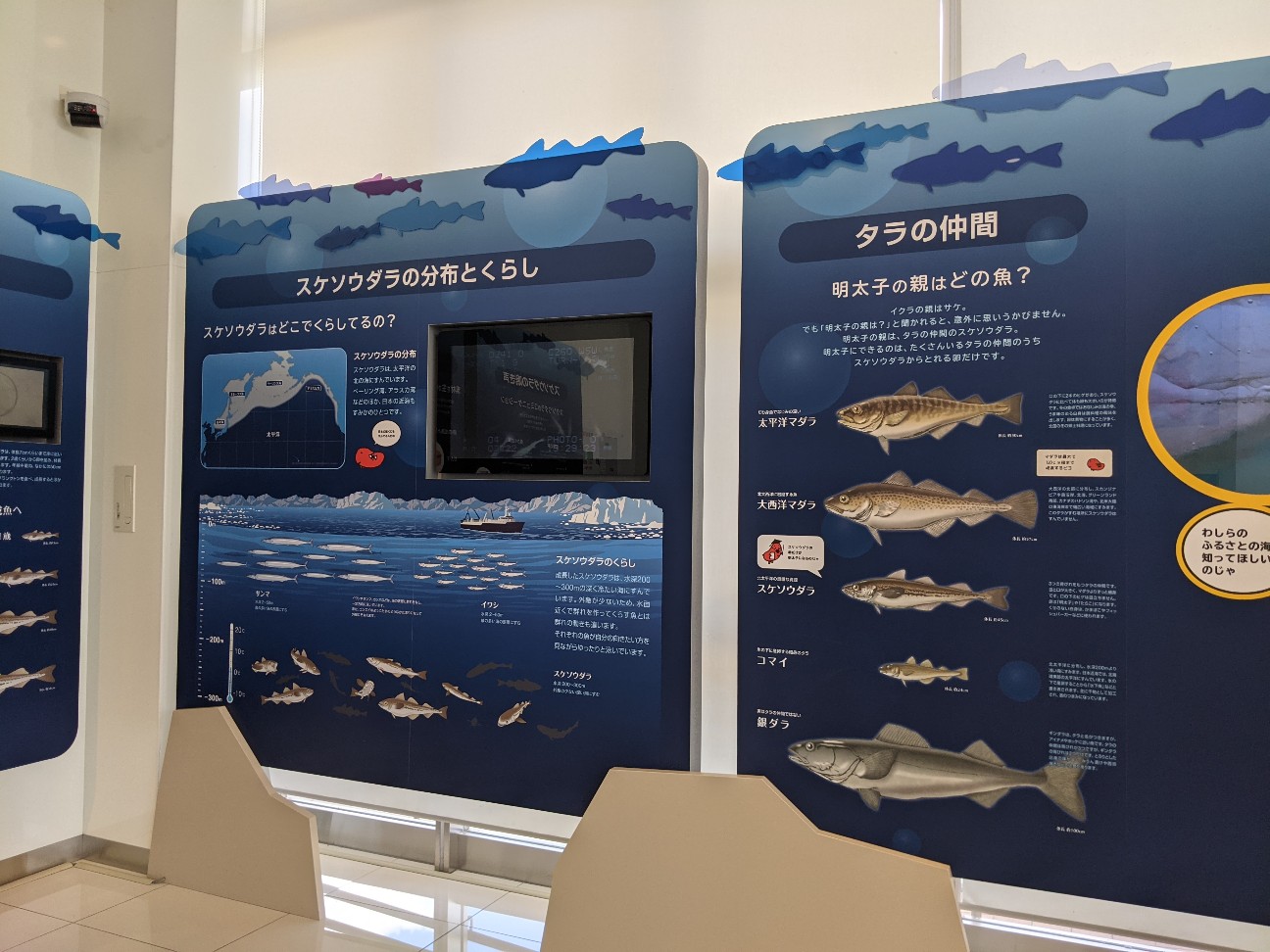 f:id:miko1221:20210801214234j:image