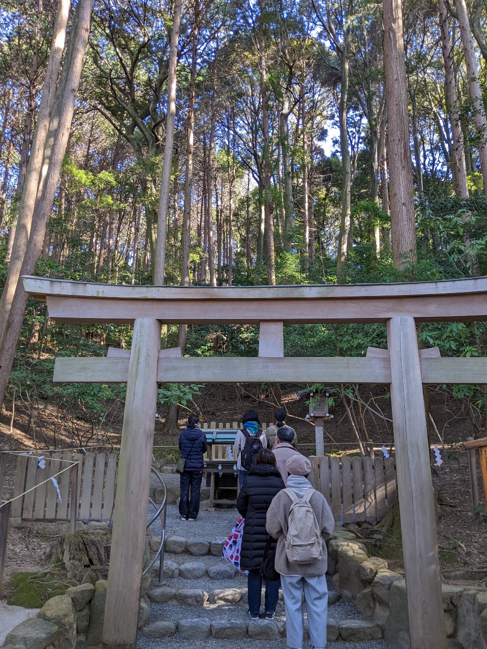 f:id:miko1221:20220123141314j:image f:id:miko1221:20220123141314j:image