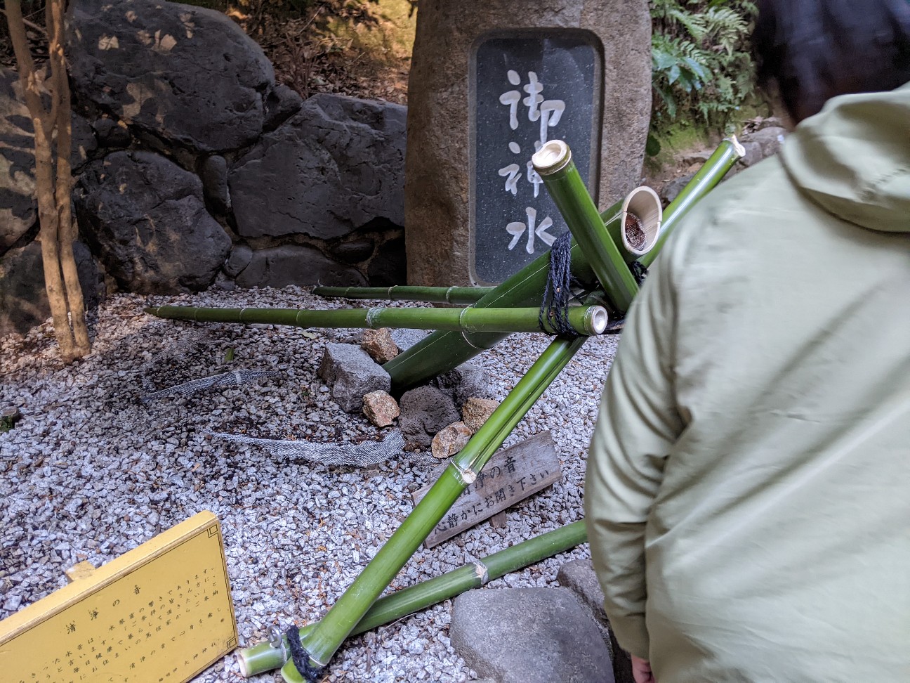 f:id:miko1221:20220123142556j:image f:id:miko1221:20220123142556j:image