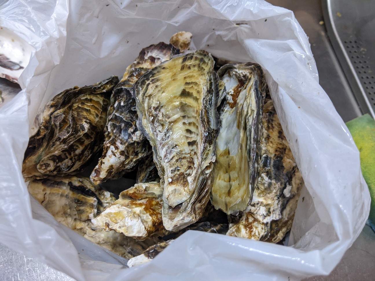 f:id:miko1221:20220213210807j:image f:id:miko1221:20220213210807j:image