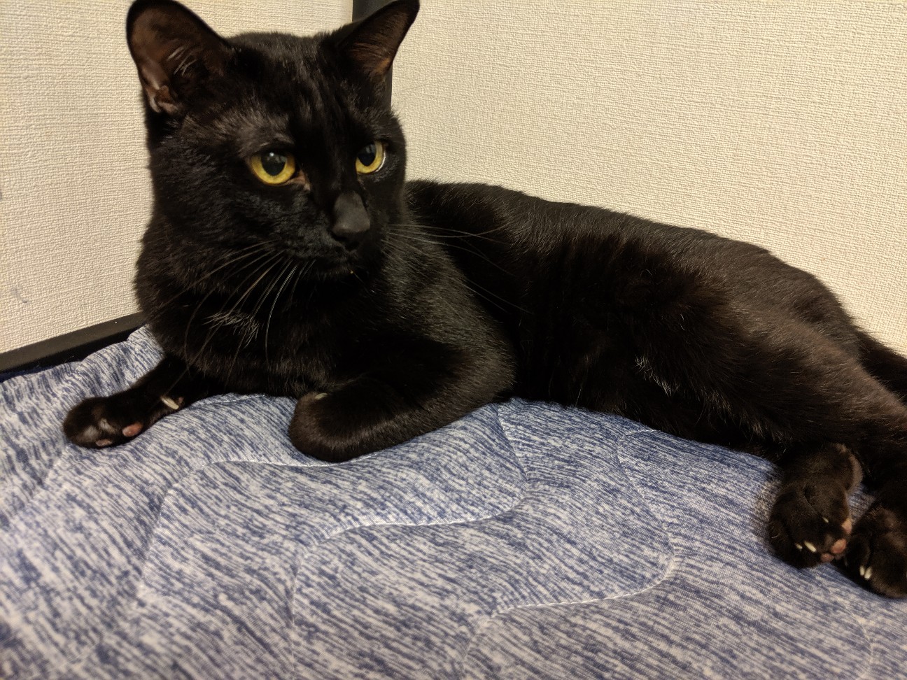 f:id:miko1221:20220222122601j:image f:id:miko1221:20220222122601j:image