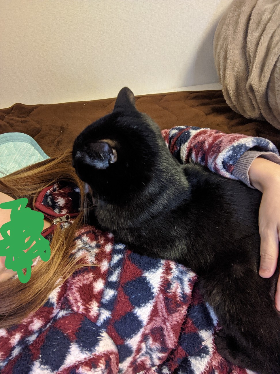 f:id:miko1221:20220222122657j:image f:id:miko1221:20220222122657j:image