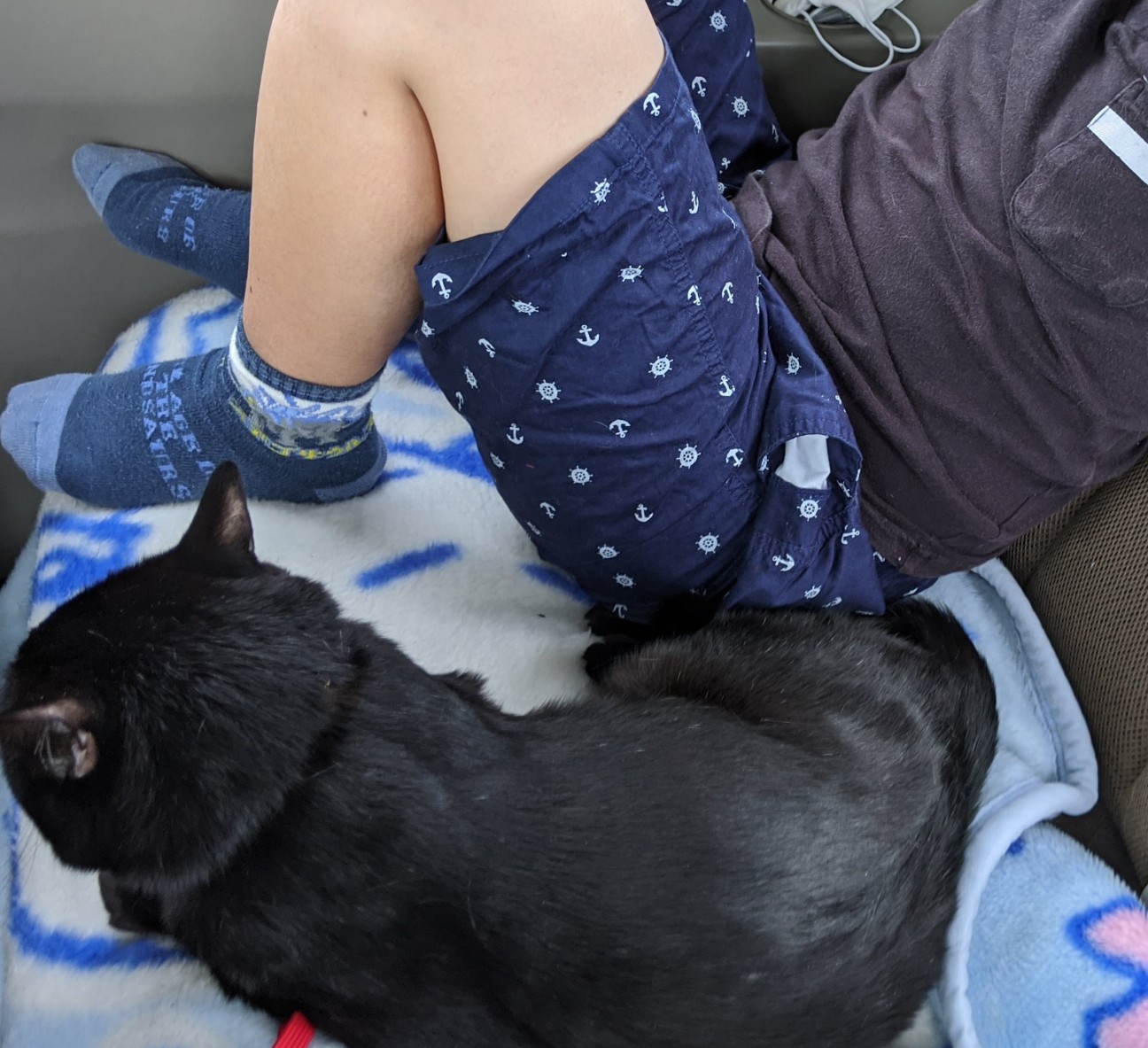 f:id:miko1221:20220222122828j:image f:id:miko1221:20220222122828j:image