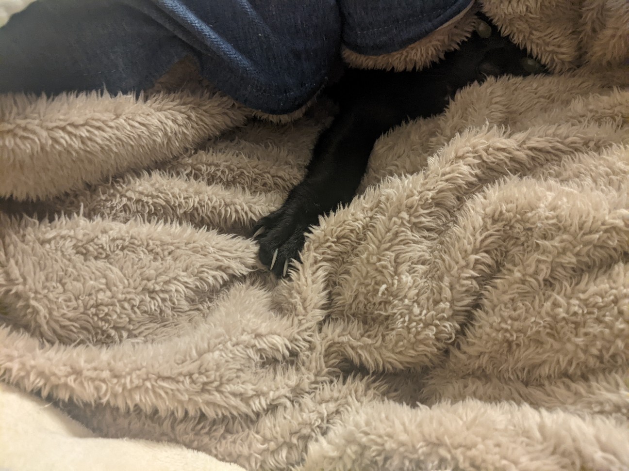 f:id:miko1221:20220222123043j:image f:id:miko1221:20220222123043j:image