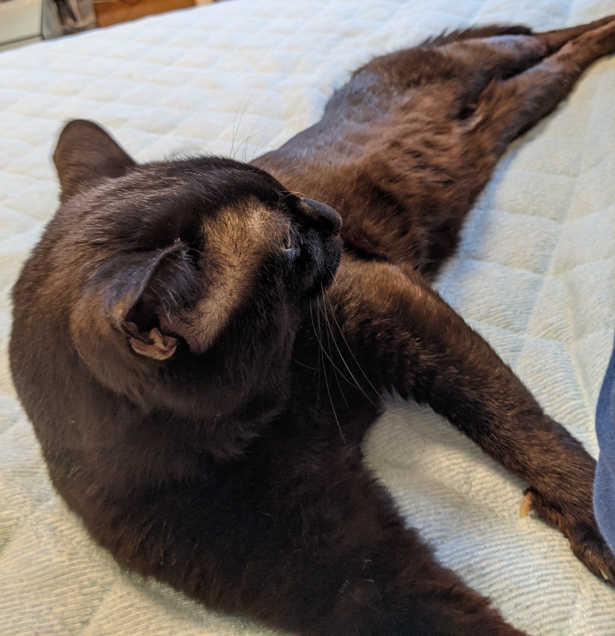 f:id:miko1221:20220222123721j:image f:id:miko1221:20220222123721j:image