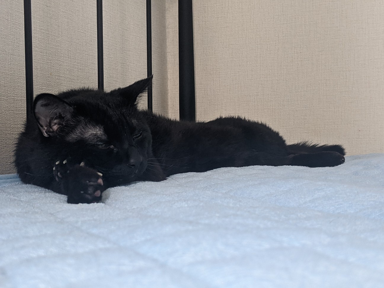 f:id:miko1221:20220222123809j:image f:id:miko1221:20220222123809j:image