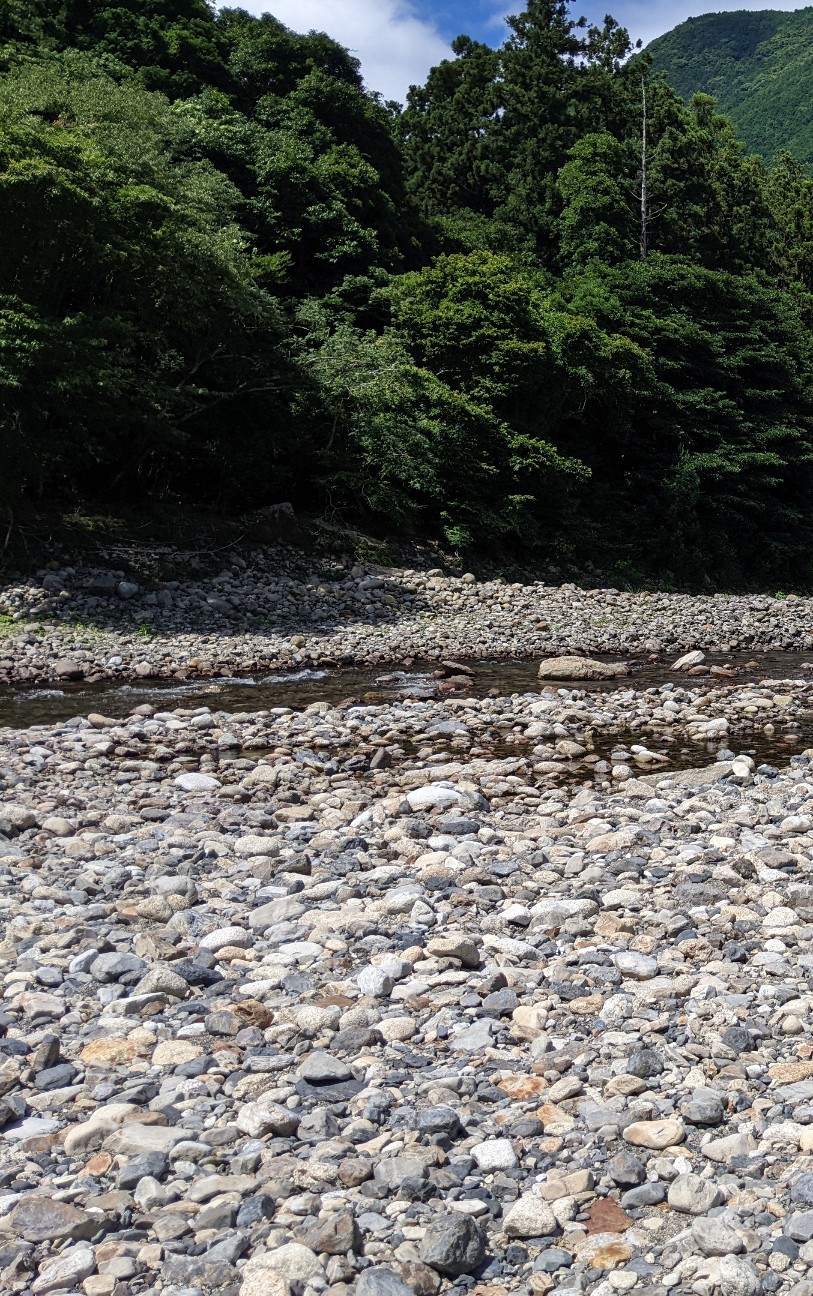 f:id:miko1221:20220727161902j:image f:id:miko1221:20220727161902j:image