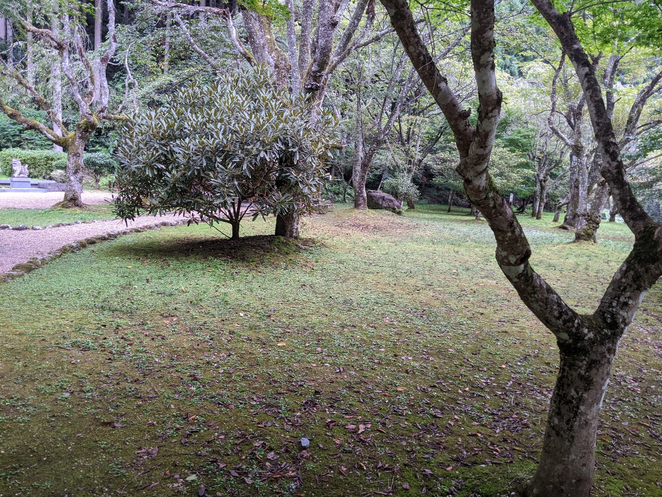 f:id:miko1221:20220828105609j:image