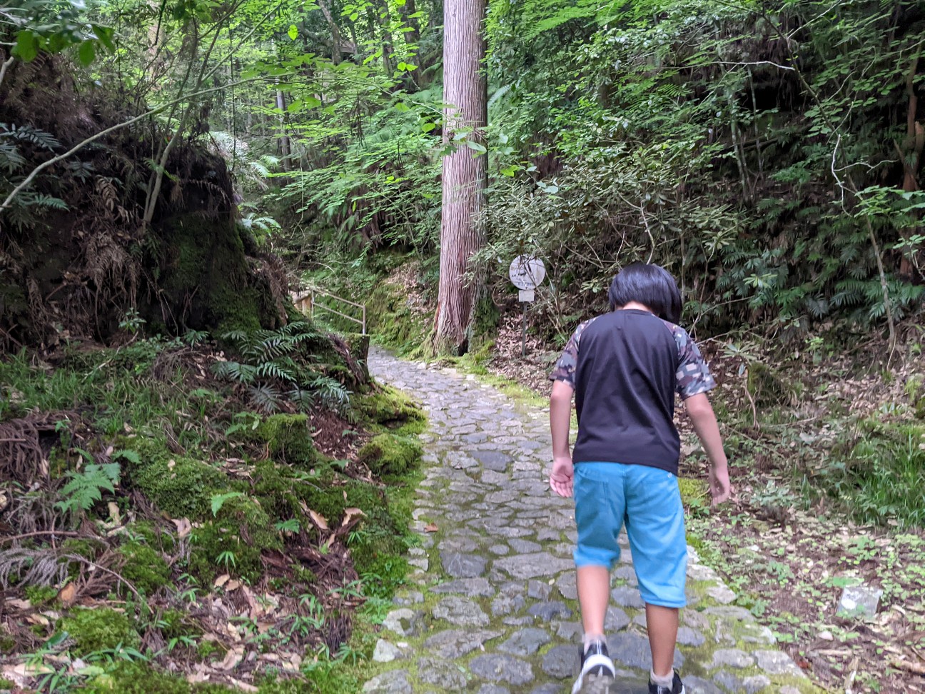 f:id:miko1221:20220828105714j:image