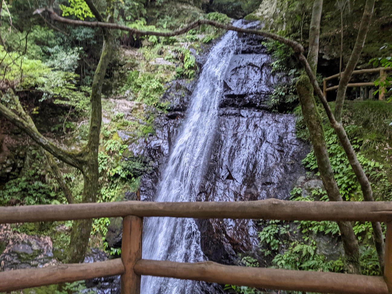 f:id:miko1221:20220828105959j:image