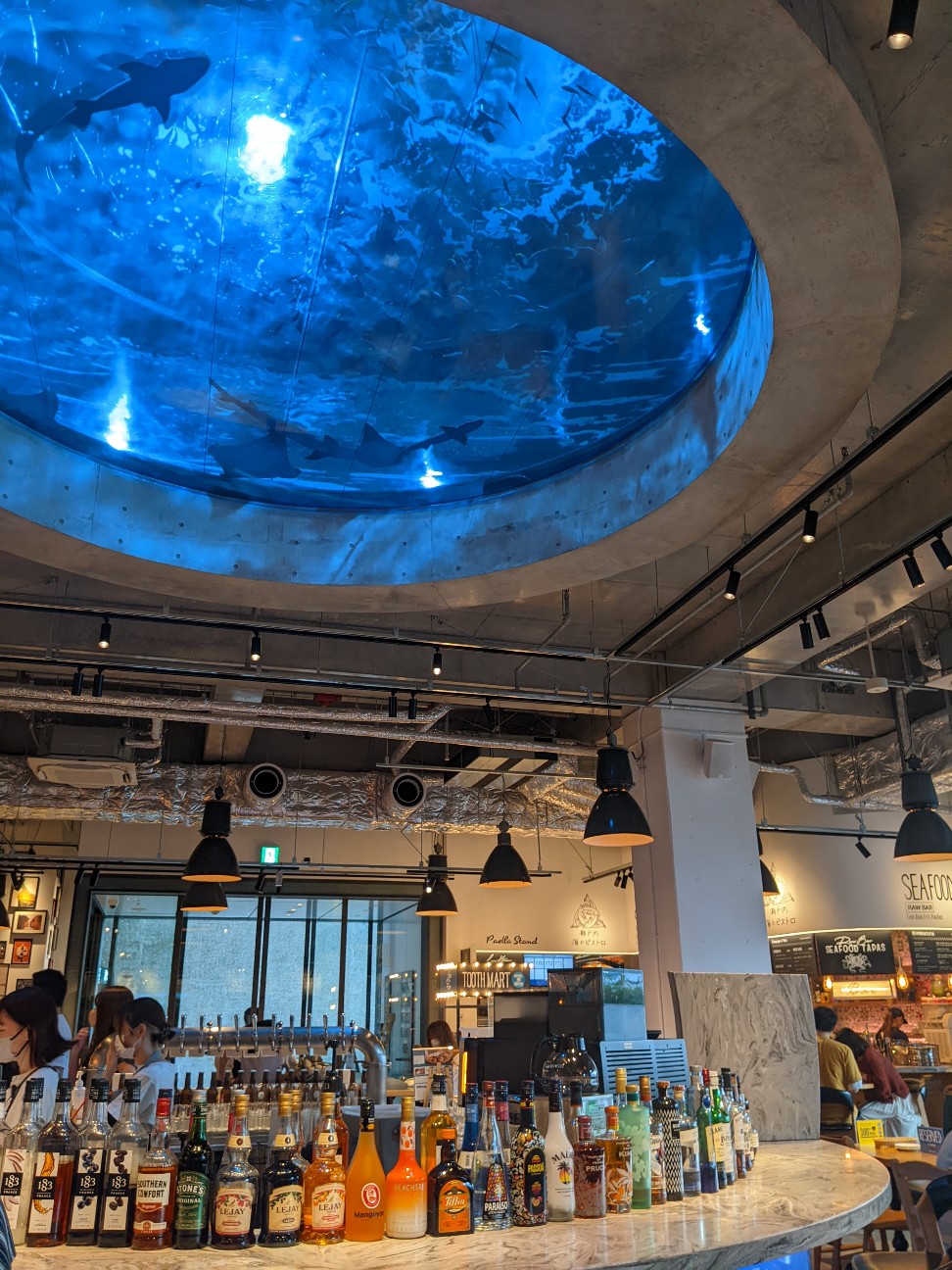 f:id:miko1221:20221006154841j:image f:id:miko1221:20221006154841j:image