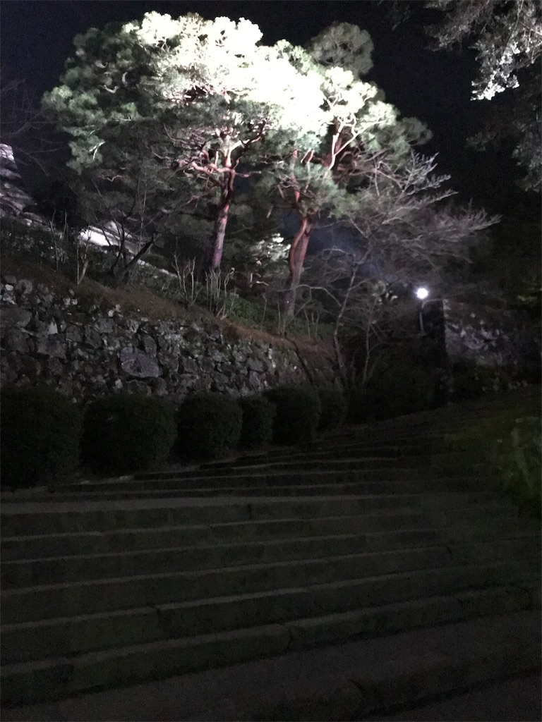 f:id:miko1o22:20190224192542j:image f:id:miko1o22:20190224192542j:image