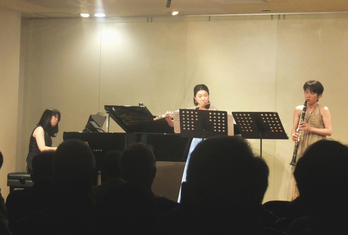 f:id:mikoVakla:20191203220005j:plain