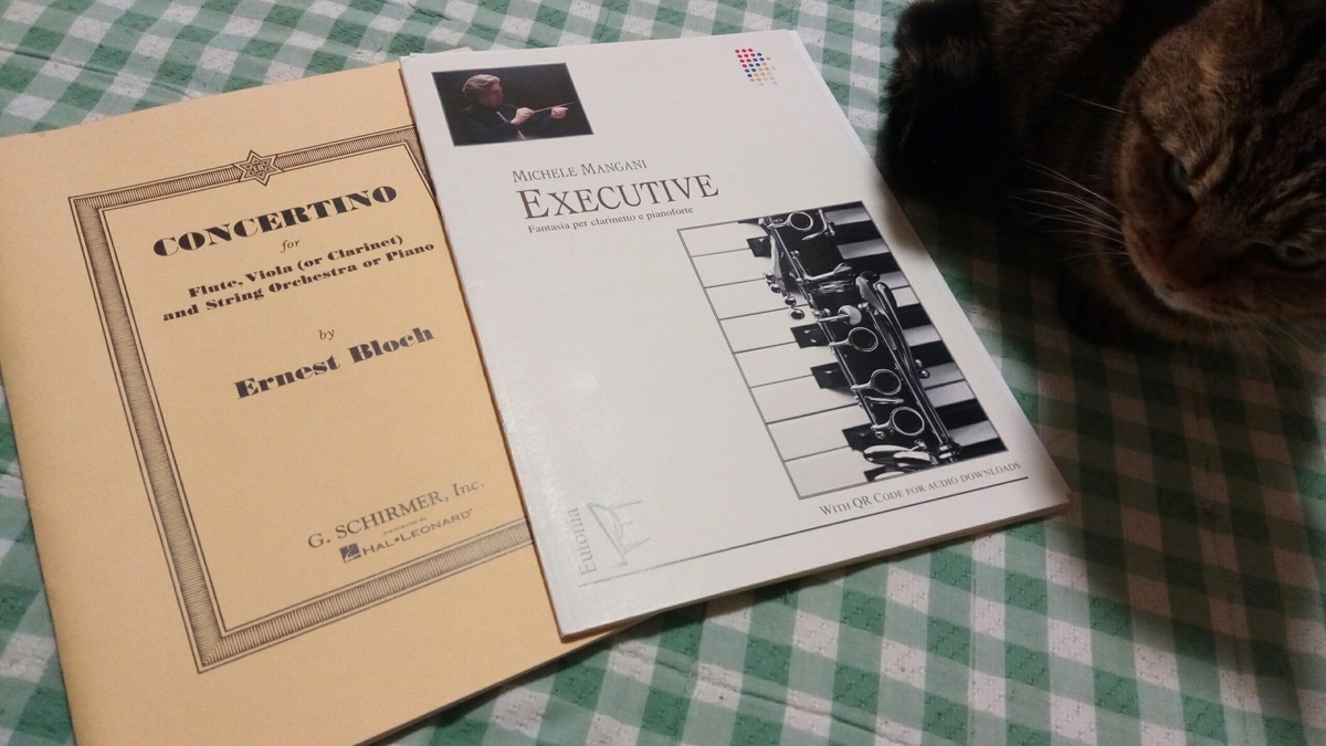 f:id:mikoVakla:20191204124058j:plain