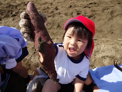 f:id:mikokoroblog:20141027133253j:image f:id:mikokoroblog:20141027133253j:image