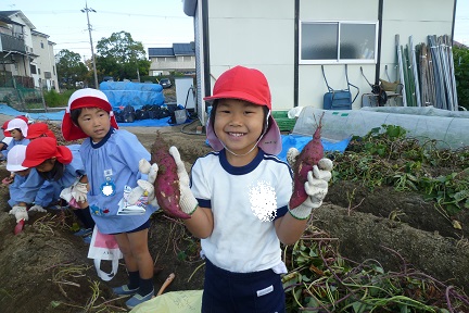 f:id:mikokoroblog:20141027133301j:image f:id:mikokoroblog:20141027133301j:image