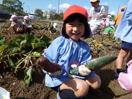 f:id:mikokoroblog:20141027133355j:image f:id:mikokoroblog:20141027133355j:image
