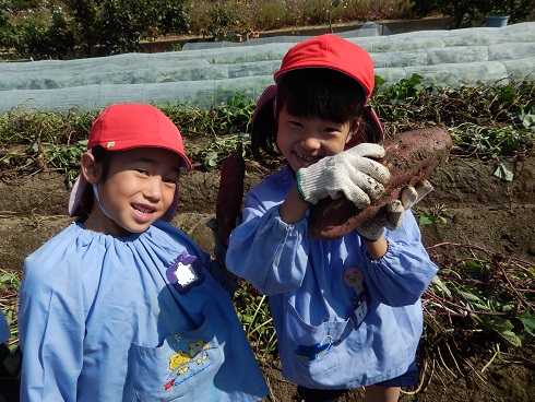f:id:mikokoroblog:20141027133403j:image f:id:mikokoroblog:20141027133403j:image