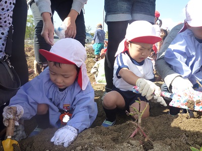 f:id:mikokoroblog:20141027133507j:image f:id:mikokoroblog:20141027133507j:image