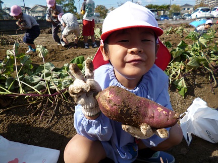 f:id:mikokoroblog:20141027133508j:image f:id:mikokoroblog:20141027133508j:image